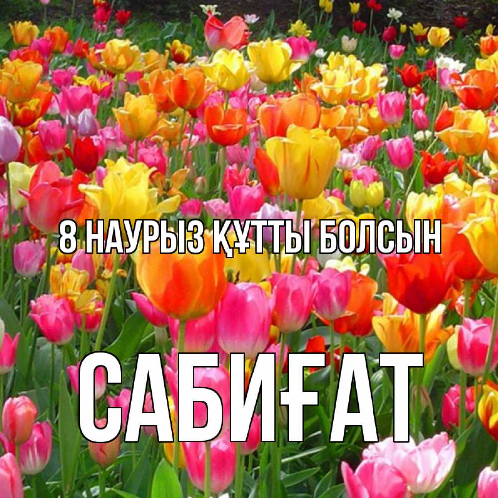 Күн сайын ашық хат с именем, САБИҒАТ 8 наурыз құтты болсын на международный женский день Онлайн тегін жүктеп алу тілектері бар керемет карта 
