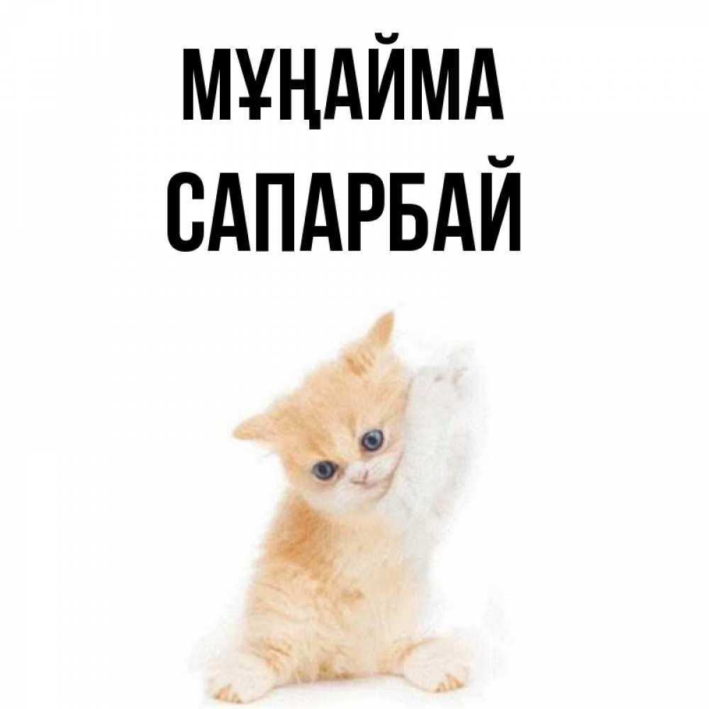 Күн сайын ашық хат с именем, САПАРБАЙ Мұңайма просящий кот Онлайн тегін жүктеп алу тілектері бар керемет карта 