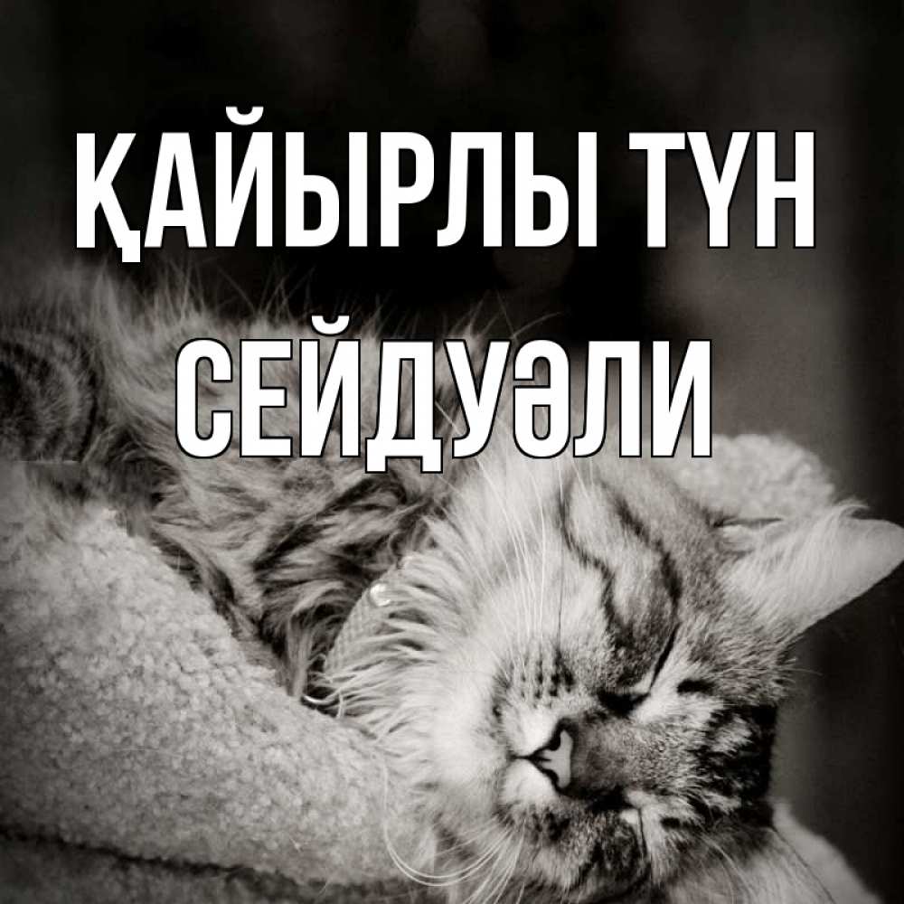 Күн сайын ашық хат с именем, СЕЙДУӘЛИ Қайырлы түн котярик пушистый Онлайн тегін жүктеп алу тілектері бар керемет карта 
