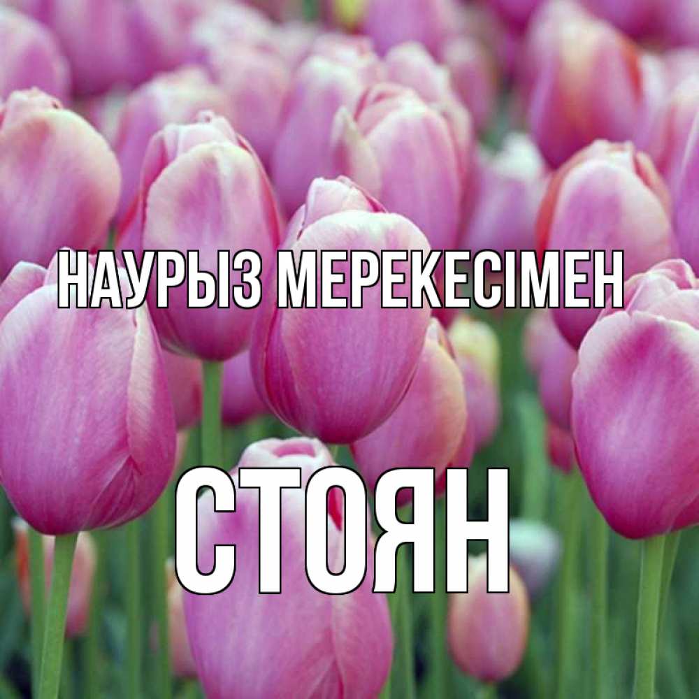 Күн сайын ашық хат с именем, Стоян Наурыз мерекесімен праздник весны наурыз 69 Онлайн тегін жүктеп алу тілектері бар керемет карта 