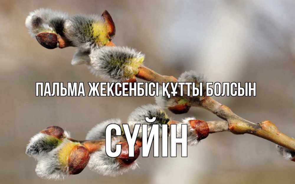 Күн сайын ашық хат с именем, СҮЙІН Пальма жексенбісі құтты болсын Верба Онлайн тегін жүктеп алу тілектері бар керемет карта 