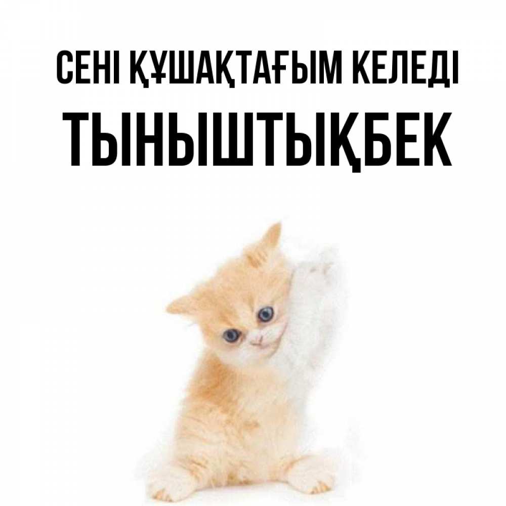 Күн сайын ашық хат с именем, ТЫНЫШТЫҚБЕК сені құшақтағым келеді я хочу очень скорее обнимаешек Онлайн тегін жүктеп алу тілектері бар керемет карта 