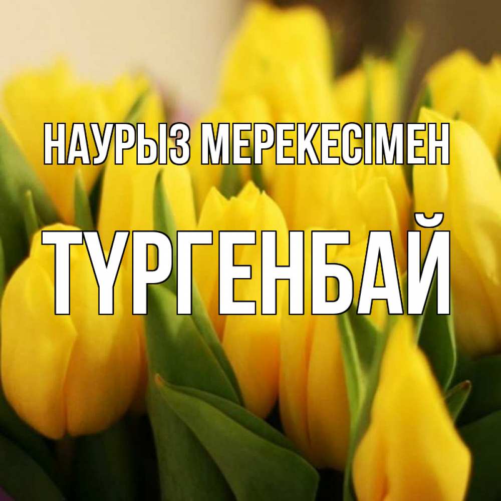 Күн сайын ашық хат с именем, ТҮРГЕНБАЙ Наурыз мерекесімен цветы Онлайн тегін жүктеп алу тілектері бар керемет карта 