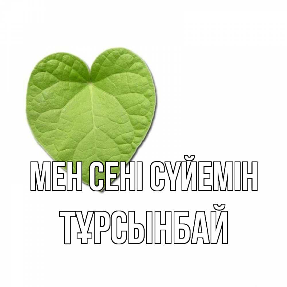 Күн сайын ашық хат с именем, ТҰРСЫНБАЙ Мен сені сүйемін тебе Онлайн тегін жүктеп алу тілектері бар керемет карта 