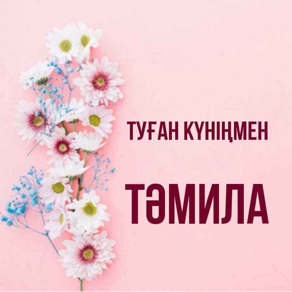 Күн сайын ашық хат с именем, ТӘМИЛА Туған күніңмен Родная моя с днем рождения тебя картинка с цветами белыми и голубыми Онлайн тегін жүктеп алу тілектері бар керемет карта 