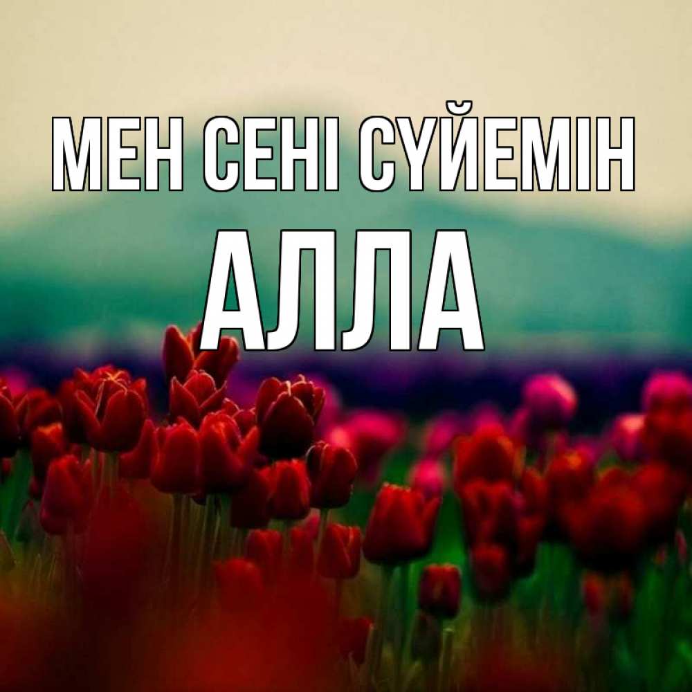 Күн сайын ашық хат с именем, Алла Мен сені сүйемін тюльпаны 4 Онлайн тегін жүктеп алу тілектері бар керемет карта 