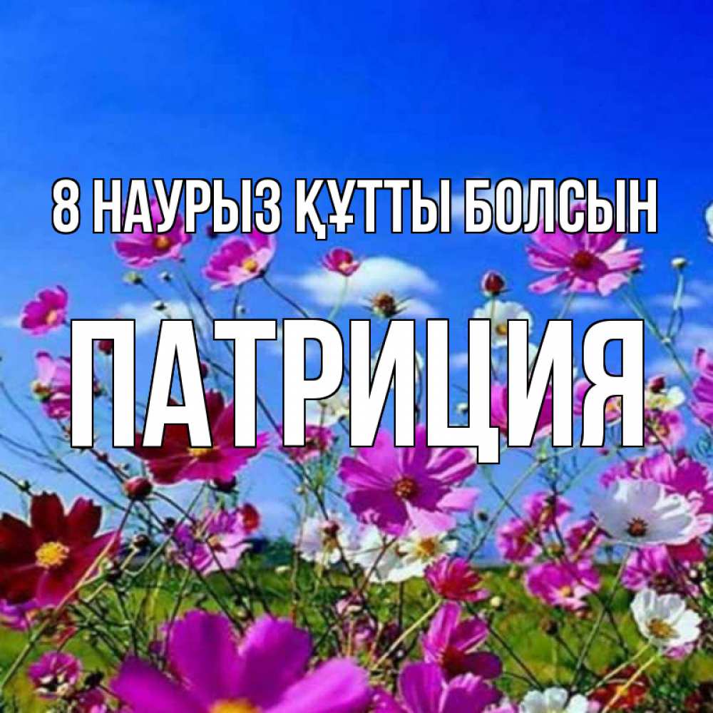 Күн сайын ашық хат с именем, Патриция 8 наурыз құтты болсын цветы Онлайн тегін жүктеп алу тілектері бар керемет карта 