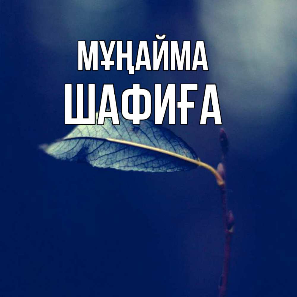 Күн сайын ашық хат с именем, ШАФИҒА Мұңайма растение Онлайн тегін жүктеп алу тілектері бар керемет карта 