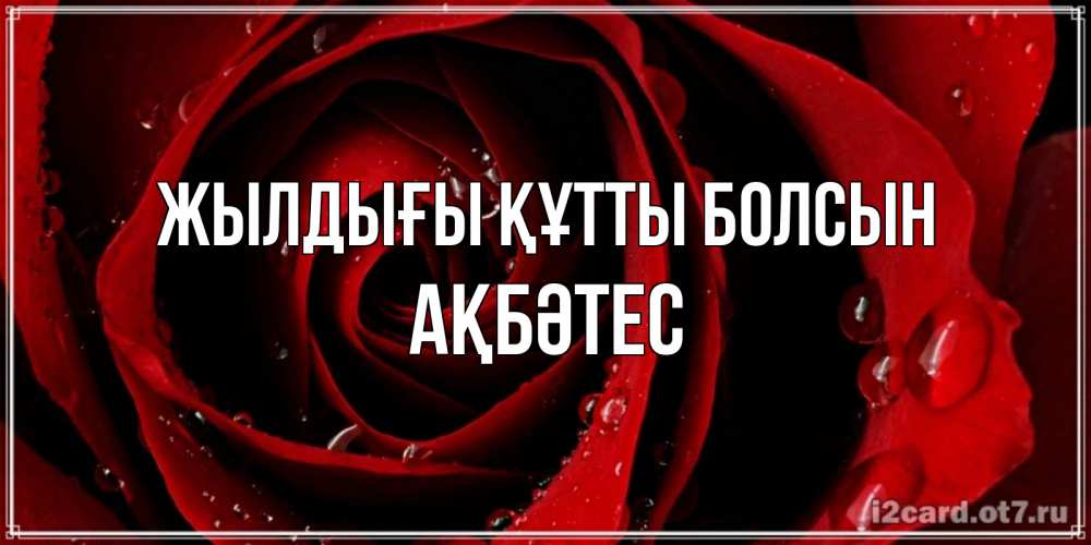 Күн сайын ашық хат с именем, АҚБӘТЕС Жылдығы құтты болсын крупная бордовая роза Онлайн тегін жүктеп алу тілектері бар керемет карта 
