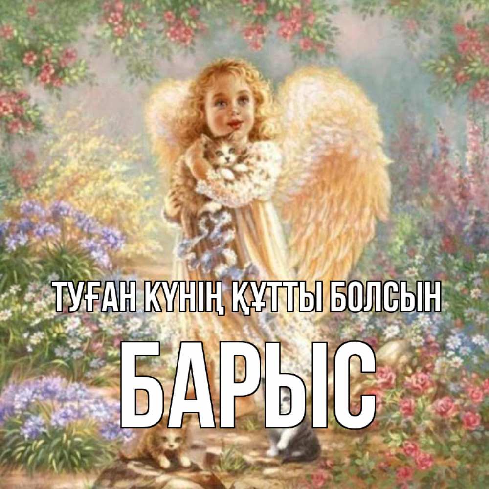 Күн сайын ашық хат с именем, Барыс Туған күнің құтты болсын держит котенка Онлайн тегін жүктеп алу тілектері бар керемет карта 