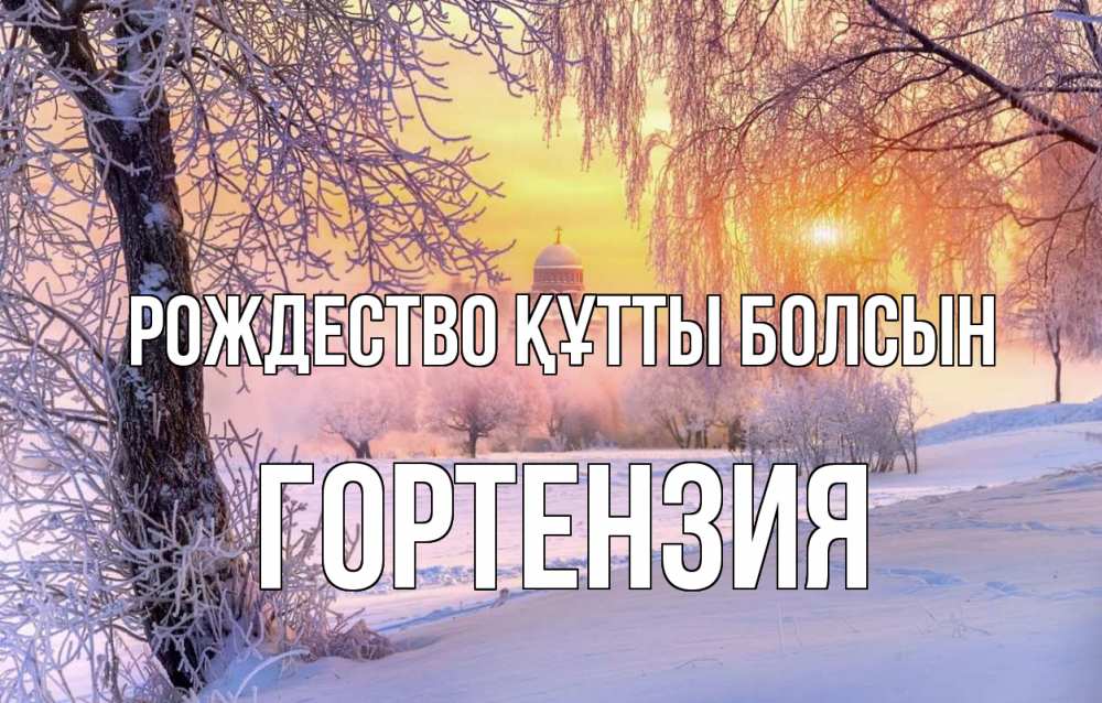 Күн сайын ашық хат с именем, Гортензия Рождество құтты болсын рождество, лес, зима 1 Онлайн тегін жүктеп алу тілектері бар керемет карта 
