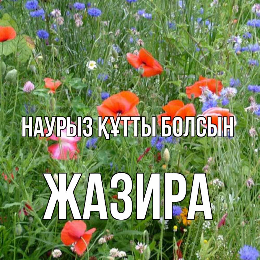 Күн сайын ашық хат с именем, ЖАЗИРА Наурыз құтты болсын наурыз  4 Онлайн тегін жүктеп алу тілектері бар керемет карта 