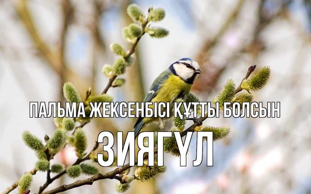Күн сайын ашық хат с именем, ЗИЯГҮЛ Пальма жексенбісі құтты болсын верба Онлайн тегін жүктеп алу тілектері бар керемет карта 