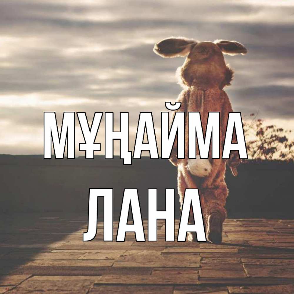 Күн сайын ашық хат с именем, Лана Мұңайма со спины Онлайн тегін жүктеп алу тілектері бар керемет карта 
