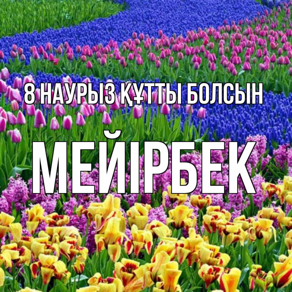 Күн сайын ашық хат с именем, МЕЙІРБЕК 8 наурыз құтты болсын цветы Онлайн тегін жүктеп алу тілектері бар керемет карта 