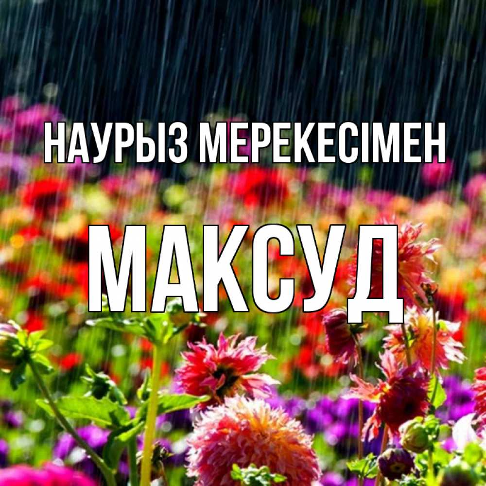 Күн сайын ашық хат с именем, Максуд Наурыз мерекесімен цветы под дождиком к международному женскому дню Онлайн тегін жүктеп алу тілектері бар керемет карта 