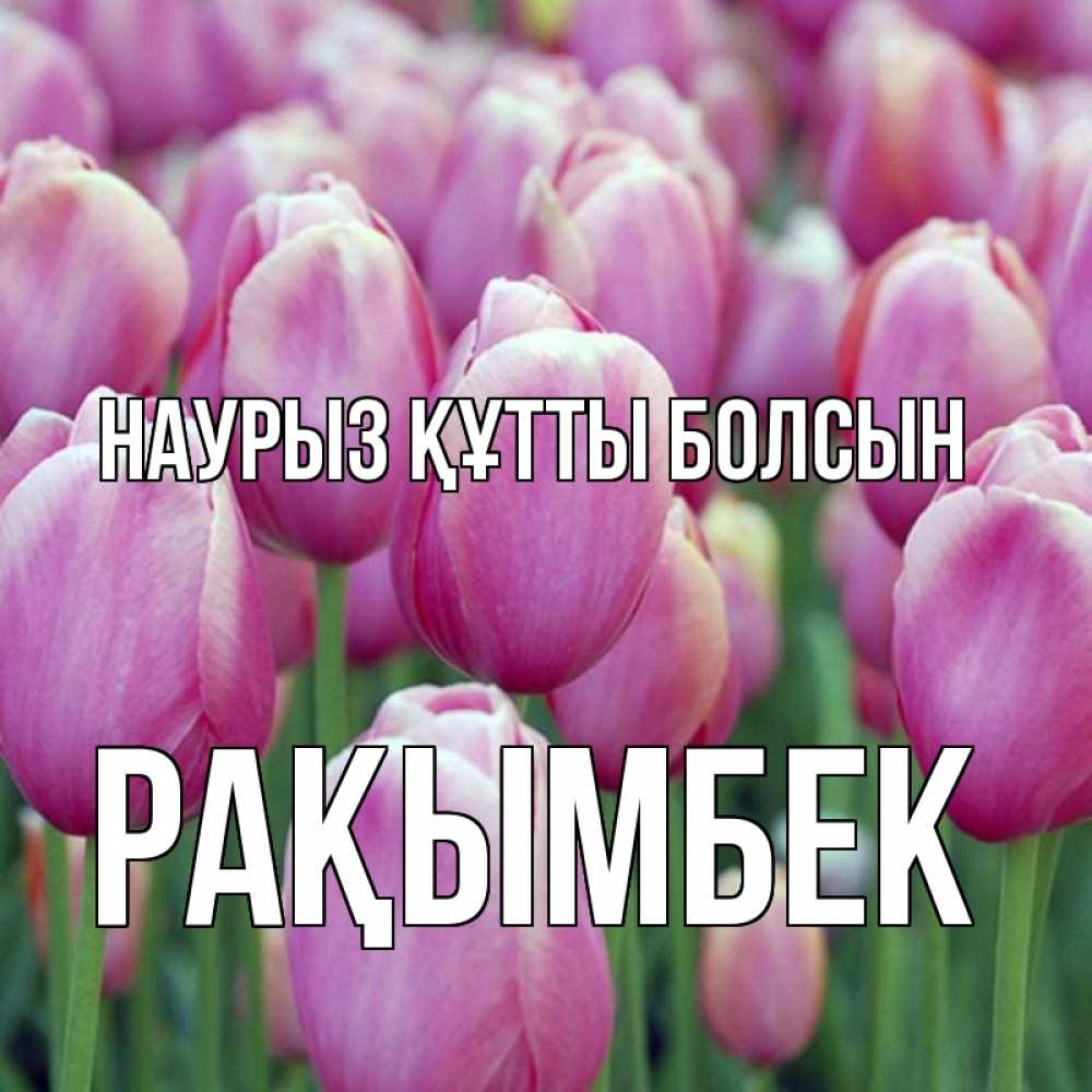 Күн сайын ашық хат с именем, Рақымбек Наурыз құтты болсын на наурыз  день 3 Онлайн тегін жүктеп алу тілектері бар керемет карта 