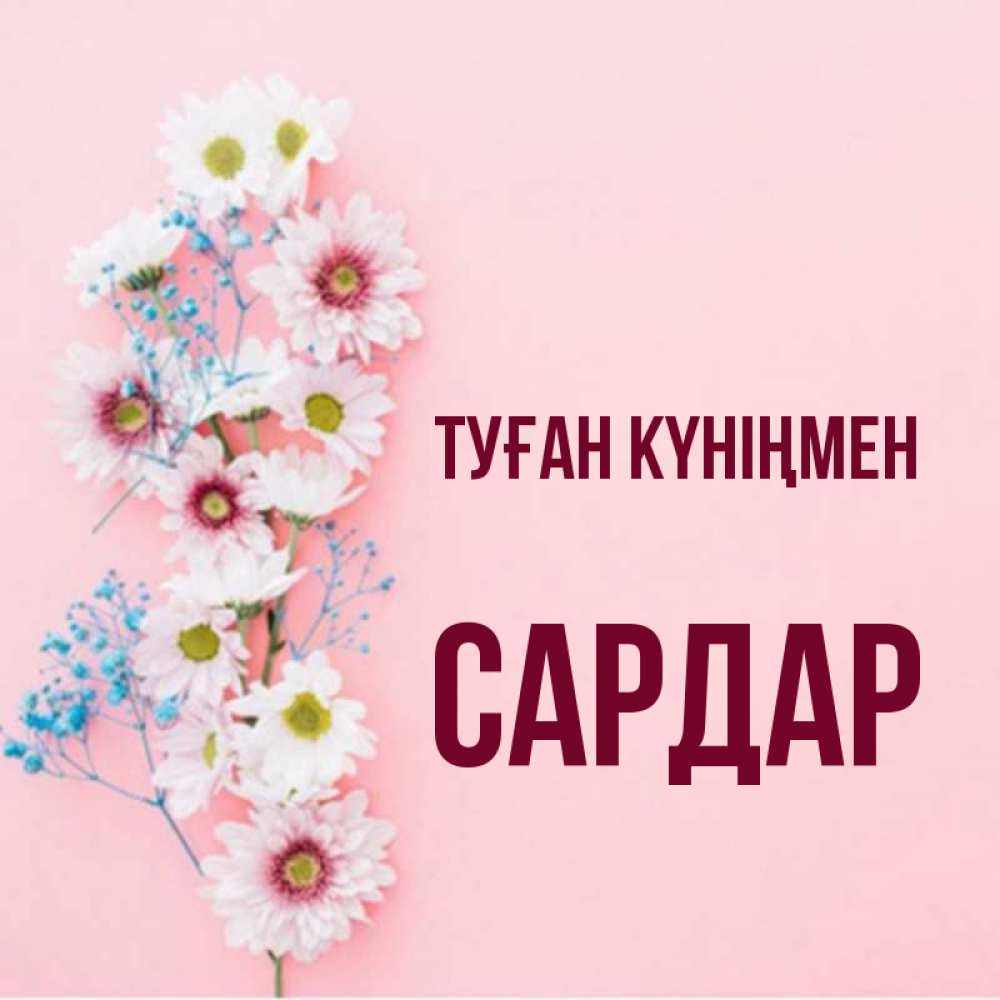 Күн сайын ашық хат с именем, САРДАР Туған күніңмен Родная моя с днем рождения тебя картинка с цветами белыми и голубыми Онлайн тегін жүктеп алу тілектері бар керемет карта 