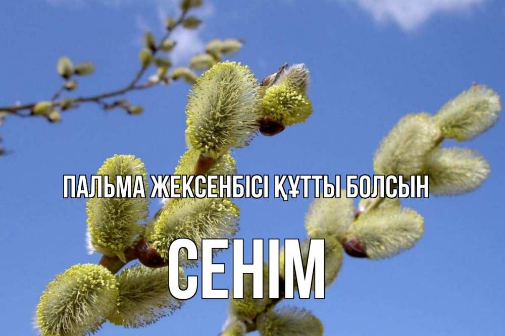 Күн сайын ашық хат с именем, СЕНІМ Пальма жексенбісі құтты болсын верба Онлайн тегін жүктеп алу тілектері бар керемет карта 