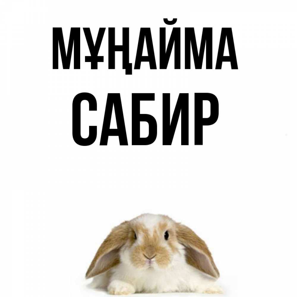 Күн сайын ашық хат с именем, Сабир Мұңайма коричнево белый заяц с большими ушками Онлайн тегін жүктеп алу тілектері бар керемет карта 