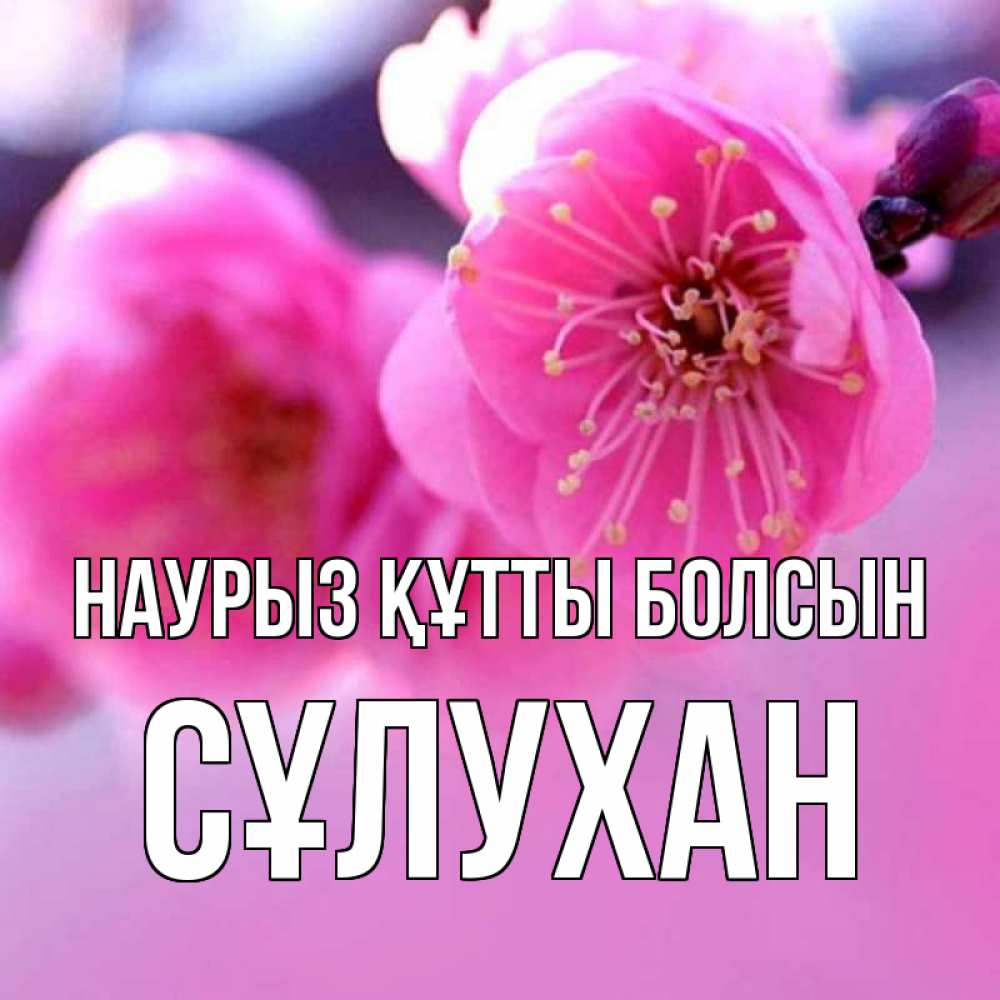 Күн сайын ашық хат с именем, СҰЛУХАН Наурыз құтты болсын наурыз мейрам Онлайн тегін жүктеп алу тілектері бар керемет карта 