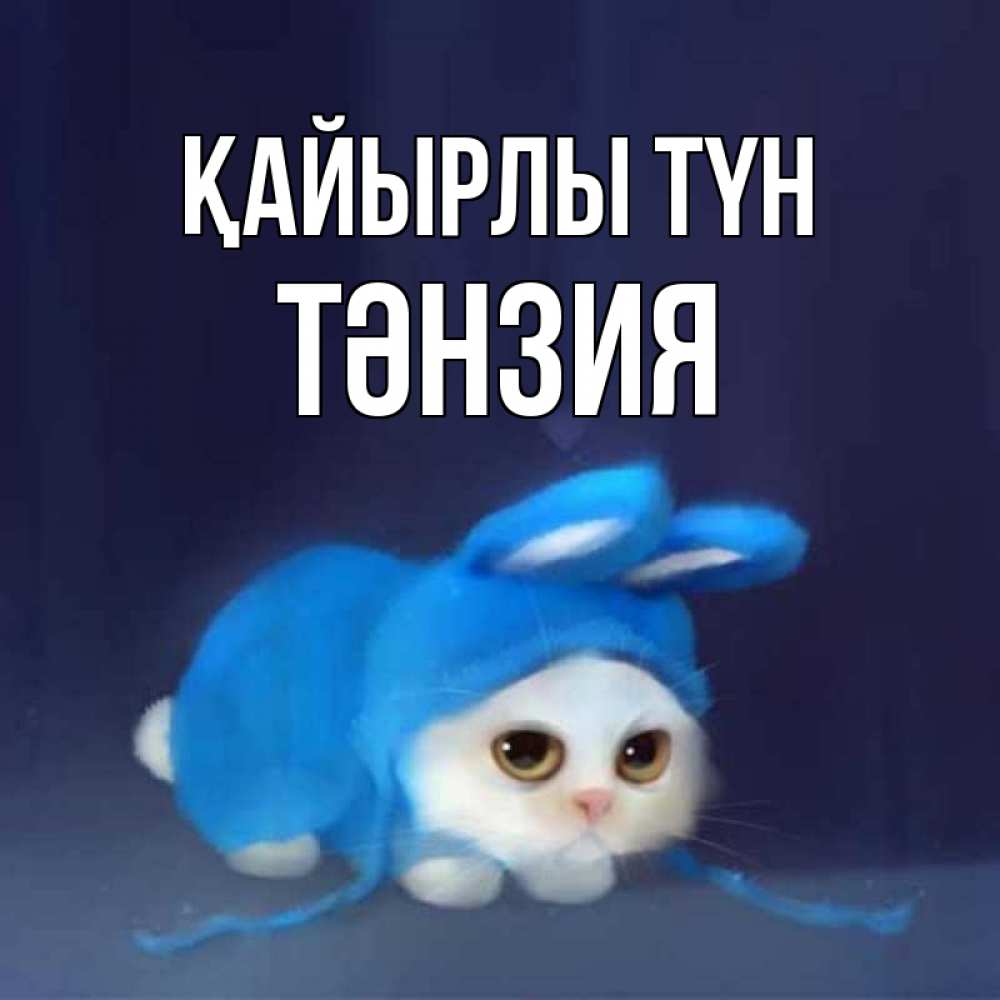 Күн сайын ашық хат с именем, ТӘНЗИЯ Қайырлы түн кот в голубом костюме кролика с ушками Онлайн тегін жүктеп алу тілектері бар керемет карта 