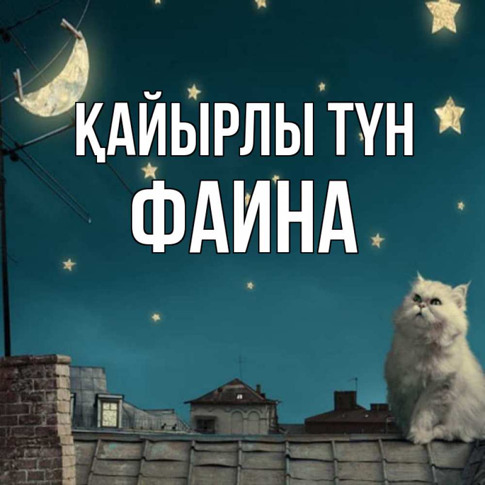 Күн сайын ашық хат с именем, Фаина Қайырлы түн белый кот сидит на крыше Онлайн тегін жүктеп алу тілектері бар керемет карта 