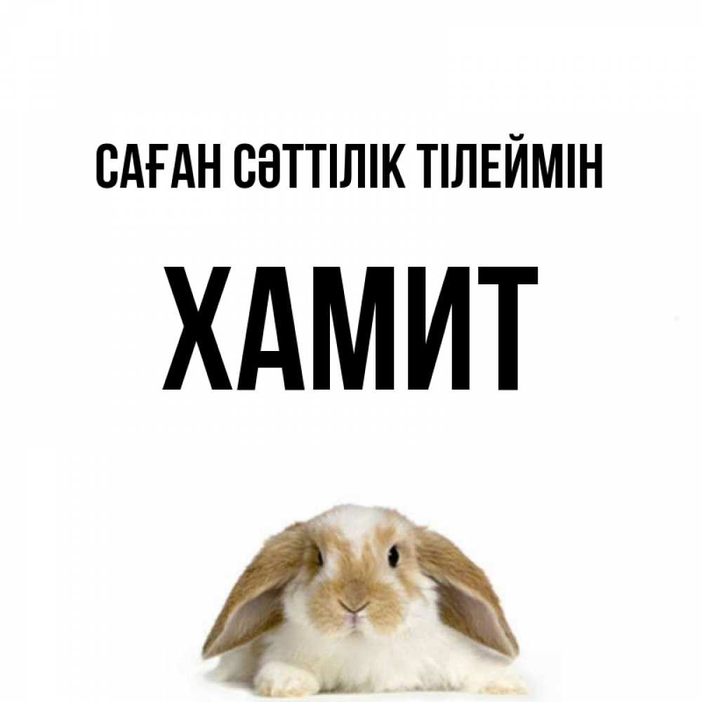 Күн сайын ашық хат с именем, ХАМИТ Саған сәттілік тілеймін открытки с произвольным текстом который можно вставить в открытку и создать ее самостоятельно бесплатно онлайн Онлайн тегін жүктеп алу тілектері бар керемет карта 