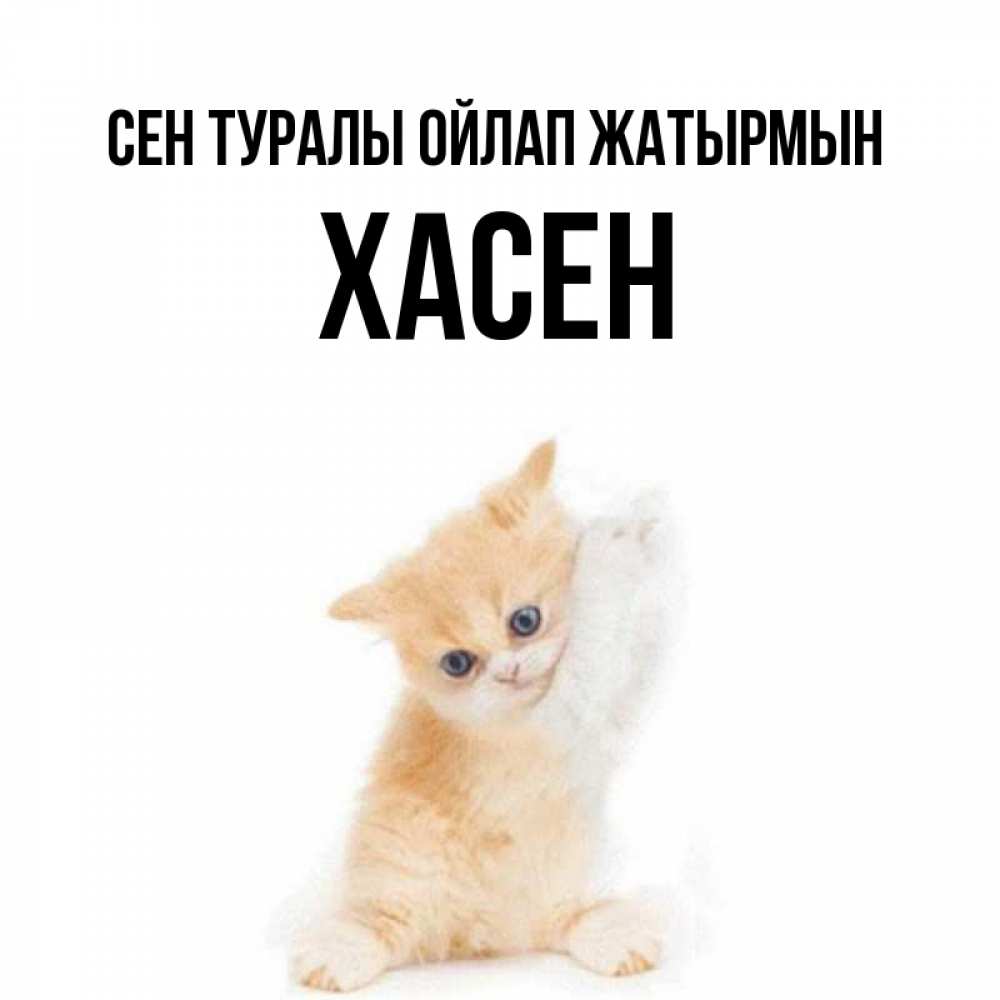 Күн сайын ашық хат с именем, ХАСЕН Сен туралы ойлап жатырмын зверушки и милота Онлайн тегін жүктеп алу тілектері бар керемет карта 