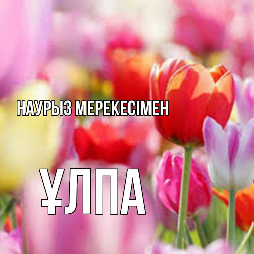 Күн сайын ашық хат с именем, ҰЛПА Наурыз мерекесімен праздник весны наурыз 67 Онлайн тегін жүктеп алу тілектері бар керемет карта 