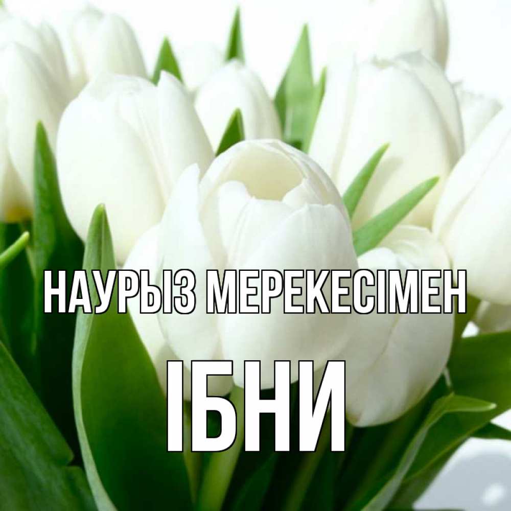 Күн сайын ашық хат с именем, ІБНИ Наурыз мерекесімен цветы Онлайн тегін жүктеп алу тілектері бар керемет карта 