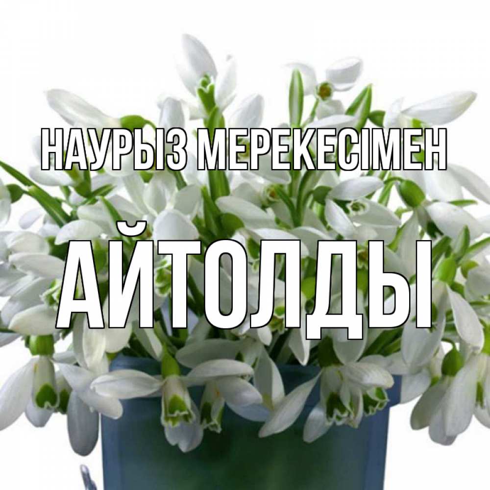 Күн сайын ашық хат с именем, АЙТОЛДЫ Наурыз мерекесімен цветы к наурызу новый год в Казахстане Онлайн тегін жүктеп алу тілектері бар керемет карта 