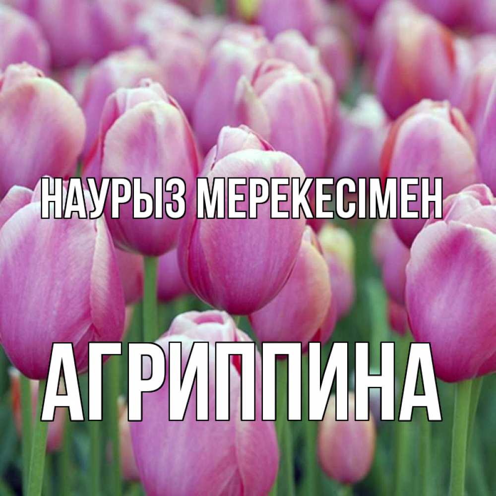 Күн сайын ашық хат с именем, Агриппина Наурыз мерекесімен праздник весны наурыз 69 Онлайн тегін жүктеп алу тілектері бар керемет карта 