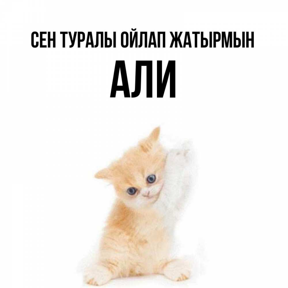 Күн сайын ашық хат с именем, Али Сен туралы ойлап жатырмын зверушки и милота Онлайн тегін жүктеп алу тілектері бар керемет карта 
