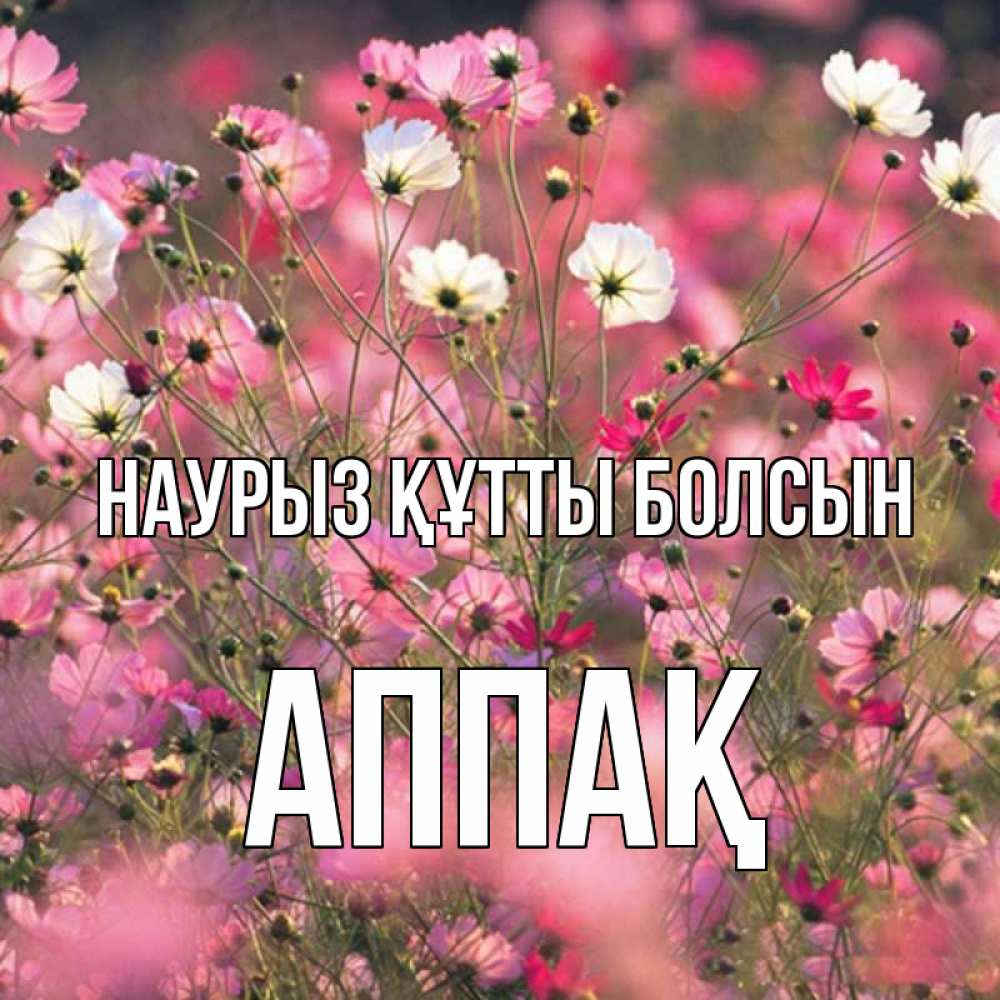 Күн сайын ашық хат с именем, Аппақ Наурыз құтты болсын красиво 1 Онлайн тегін жүктеп алу тілектері бар керемет карта 