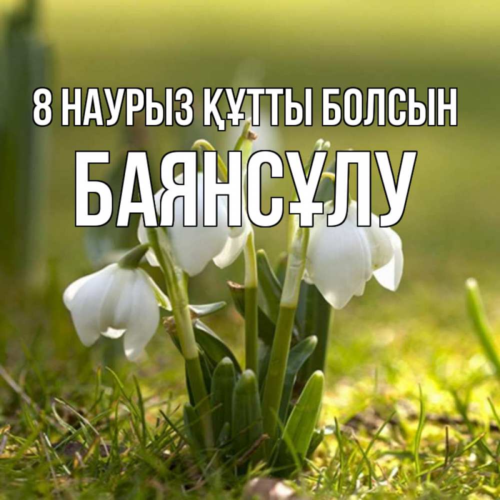 Күн сайын ашық хат с именем, БАЯНСҰЛУ 8 наурыз құтты болсын ранние цветы 2 Онлайн тегін жүктеп алу тілектері бар керемет карта 