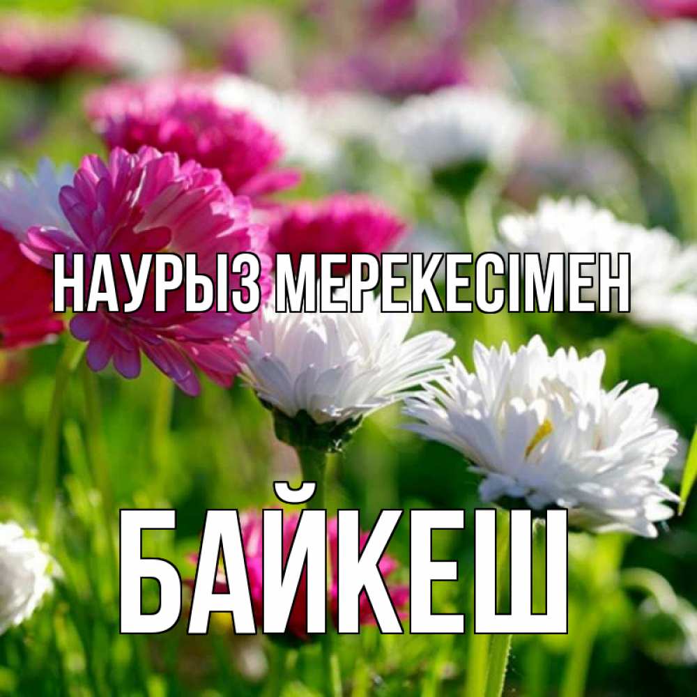 Күн сайын ашық хат с именем, Байкеш Наурыз мерекесімен праздник весны наурыз красота Онлайн тегін жүктеп алу тілектері бар керемет карта 