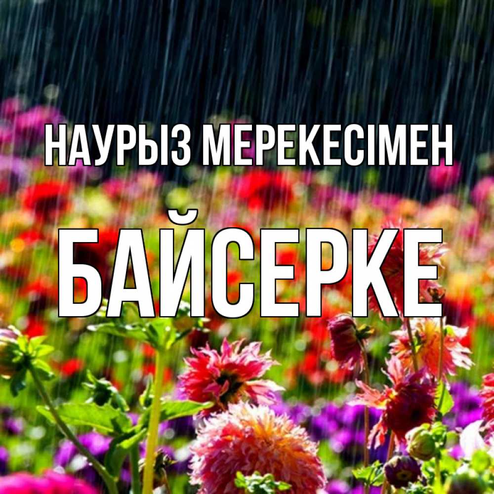 Күн сайын ашық хат с именем, Байсерке Наурыз мерекесімен цветы под дождиком к международному женскому дню Онлайн тегін жүктеп алу тілектері бар керемет карта 