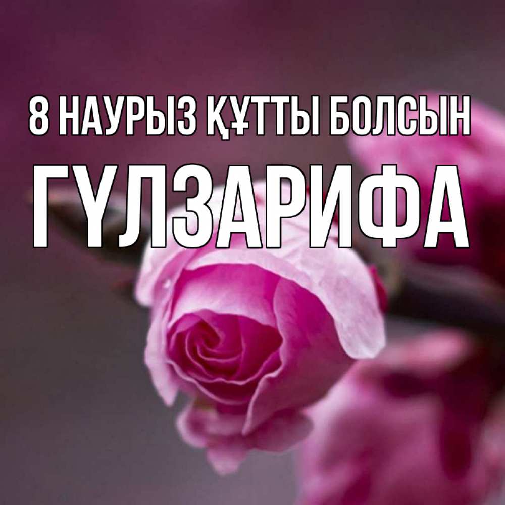Күн сайын ашық хат с именем, ГҮЛЗАРИФА 8 наурыз құтты болсын весна Онлайн тегін жүктеп алу тілектері бар керемет карта 
