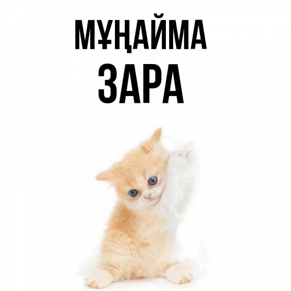Күн сайын ашық хат с именем, ЗАРА Мұңайма просящий кот Онлайн тегін жүктеп алу тілектері бар керемет карта 