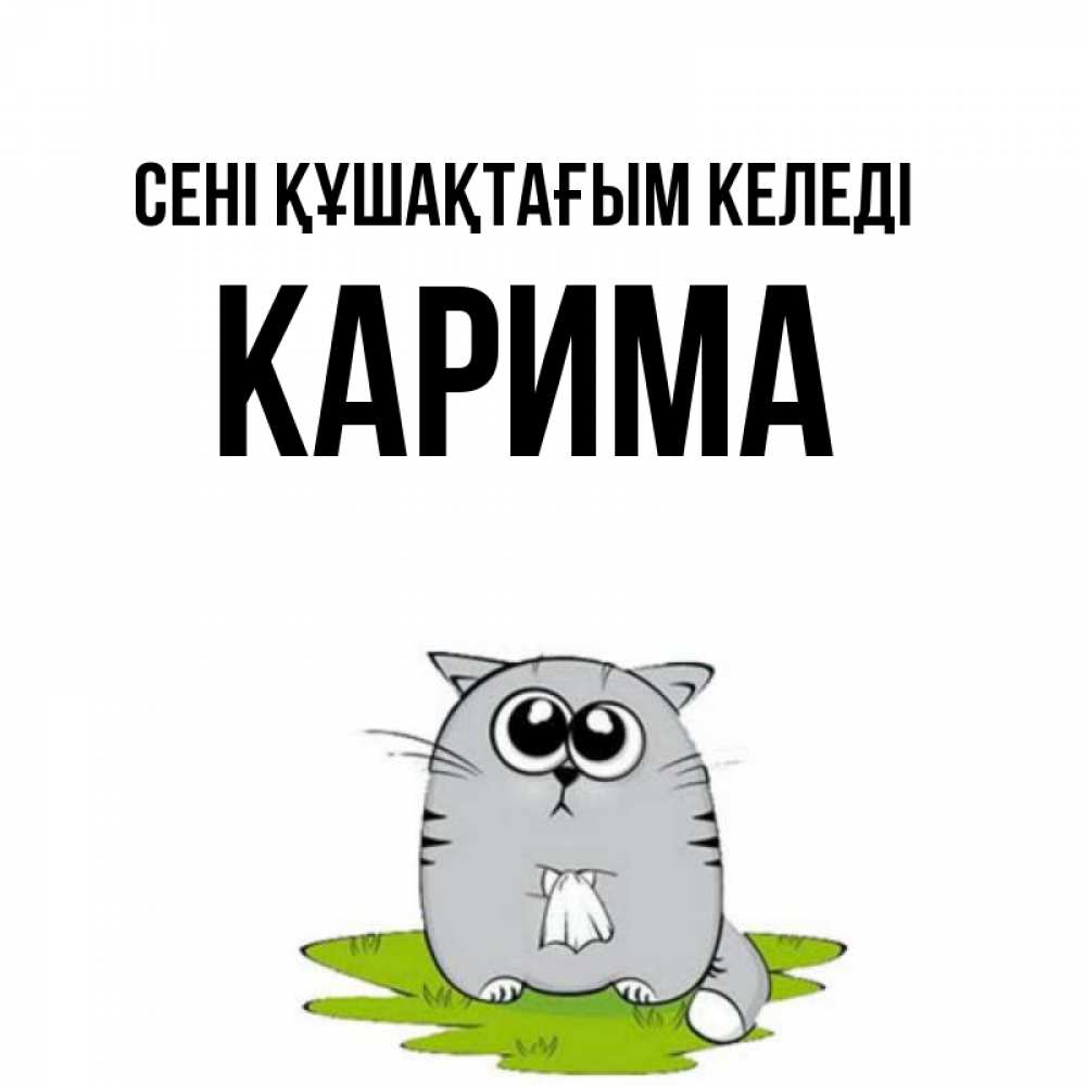 Күн сайын ашық хат с именем, Карима сені құшақтағым келеді котик теребит платочек сидя на травке Онлайн тегін жүктеп алу тілектері бар керемет карта 