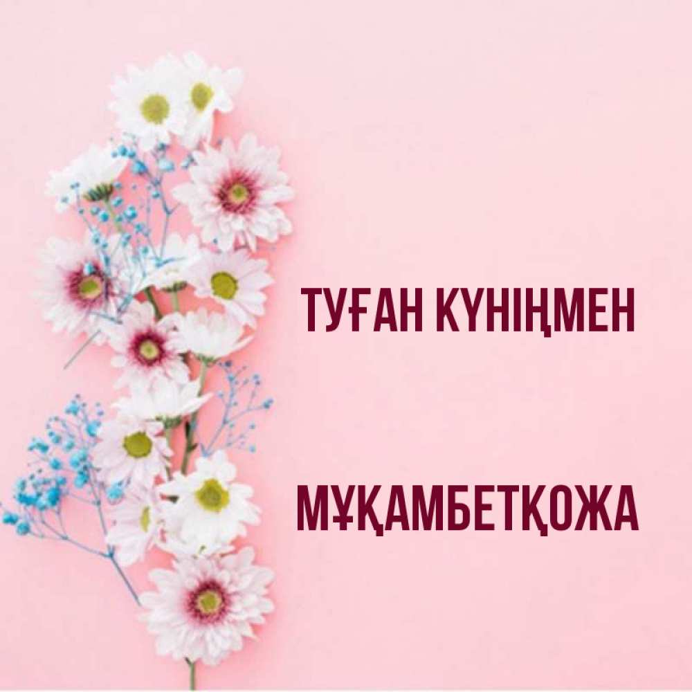 Күн сайын ашық хат с именем, Мұқамбетқожа Туған күніңмен Родная моя с днем рождения тебя картинка с цветами белыми и голубыми Онлайн тегін жүктеп алу тілектері бар керемет карта 