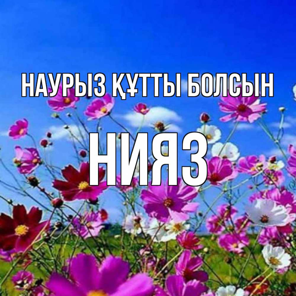 Күн сайын ашық хат с именем, НИЯЗ Наурыз құтты болсын цветы Онлайн тегін жүктеп алу тілектері бар керемет карта 