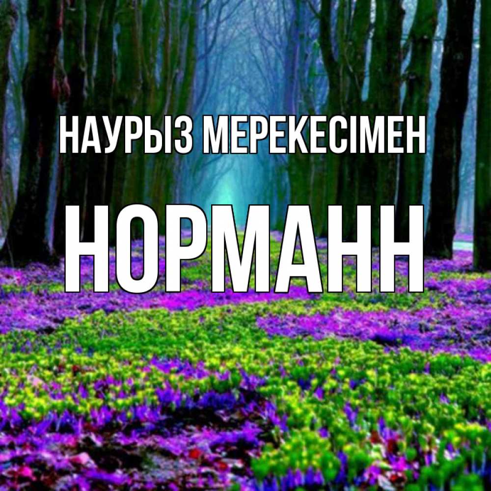Күн сайын ашық хат с именем, Норманн Наурыз мерекесімен фиолетовые цветы в лесу 1 Онлайн тегін жүктеп алу тілектері бар керемет карта 
