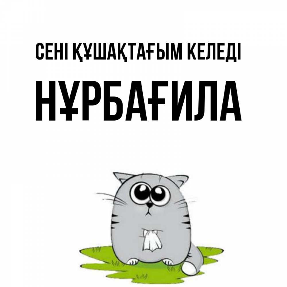 Күн сайын ашық хат с именем, НҰРБАҒИЛА сені құшақтағым келеді котик теребит платочек сидя на травке Онлайн тегін жүктеп алу тілектері бар керемет карта 