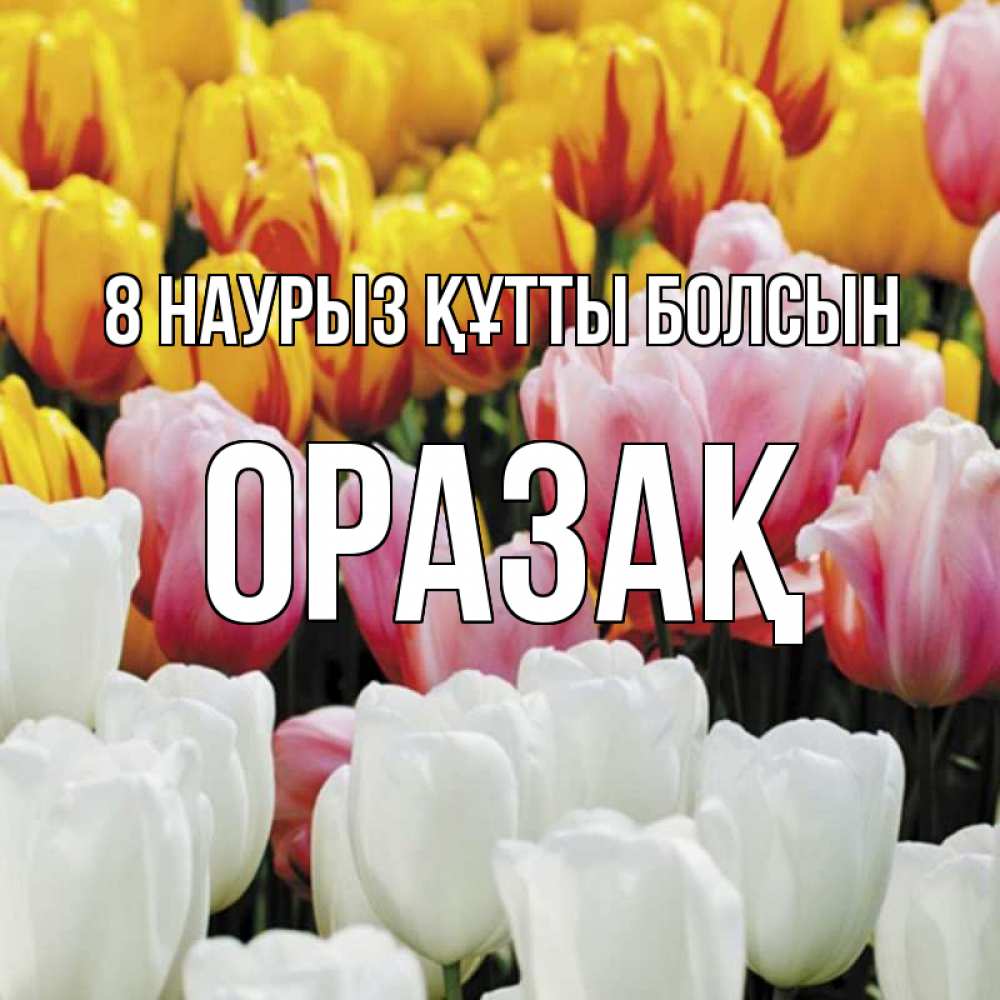 Күн сайын ашық хат с именем, ОРАЗАҚ 8 наурыз құтты болсын разноцветные цветы Онлайн тегін жүктеп алу тілектері бар керемет карта 