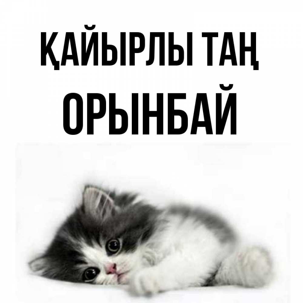 Күн сайын ашық хат с именем, ОРЫНБАЙ Қайырлы таң кот лапки Онлайн тегін жүктеп алу тілектері бар керемет карта 