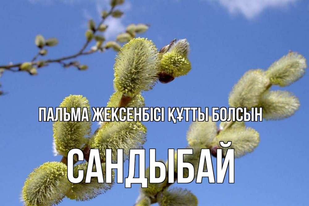 Күн сайын ашық хат с именем, САНДЫБАЙ Пальма жексенбісі құтты болсын верба Онлайн тегін жүктеп алу тілектері бар керемет карта 
