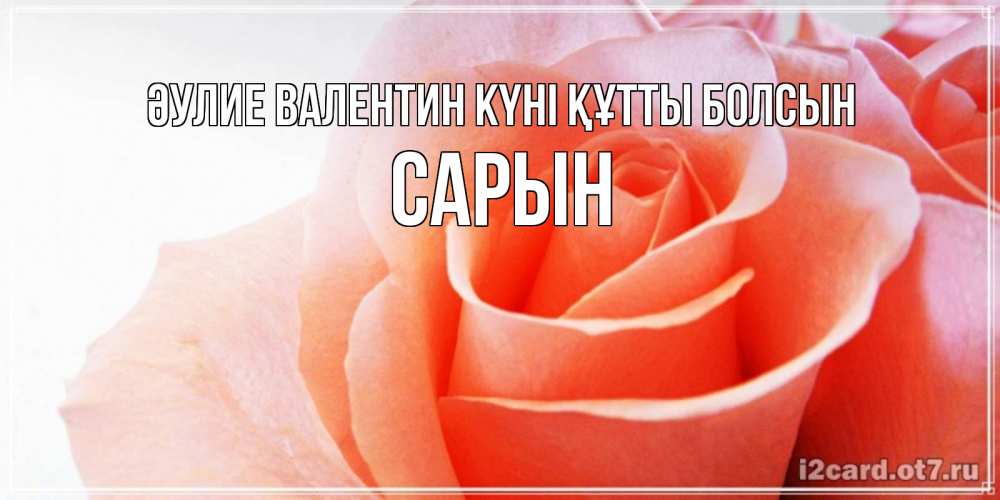 Күн сайын ашық хат с именем, САРЫН Әулие Валентин күні құтты болсын открытка на день Святого Валентина с розовой розой Онлайн тегін жүктеп алу тілектері бар керемет карта 