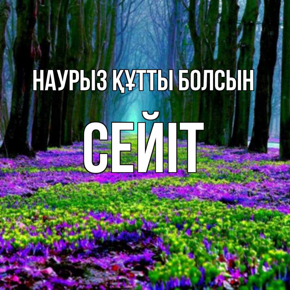 Күн сайын ашық хат с именем, СЕЙІТ Наурыз құтты болсын фиолетовые цветы в лесу 1 Онлайн тегін жүктеп алу тілектері бар керемет карта 